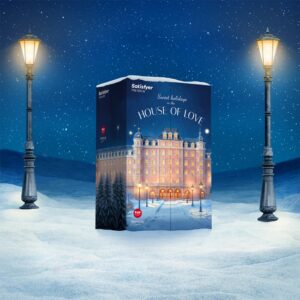 Satisfyer Advent Calendar 2025 (Premium)